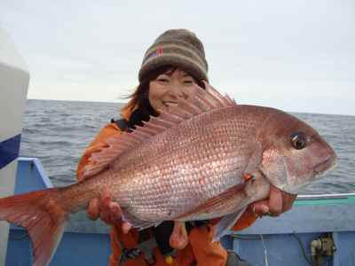 マダイ釣り 充正丸 釣果日誌